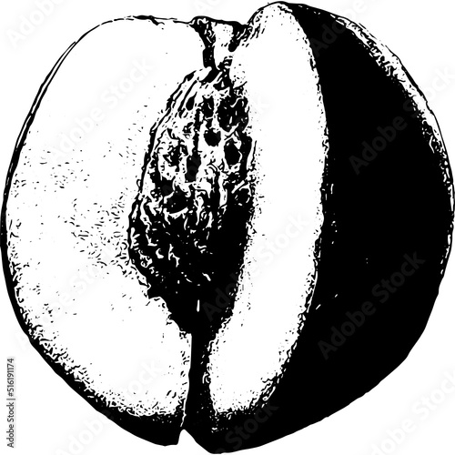 Nectarine and stone 