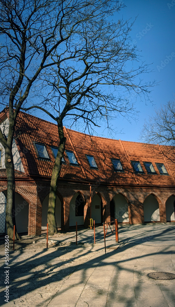 Obraz premium Part of Cathedral Basilica of the Assumption of the Blessed Virgin Mary in Białystok, Poland 