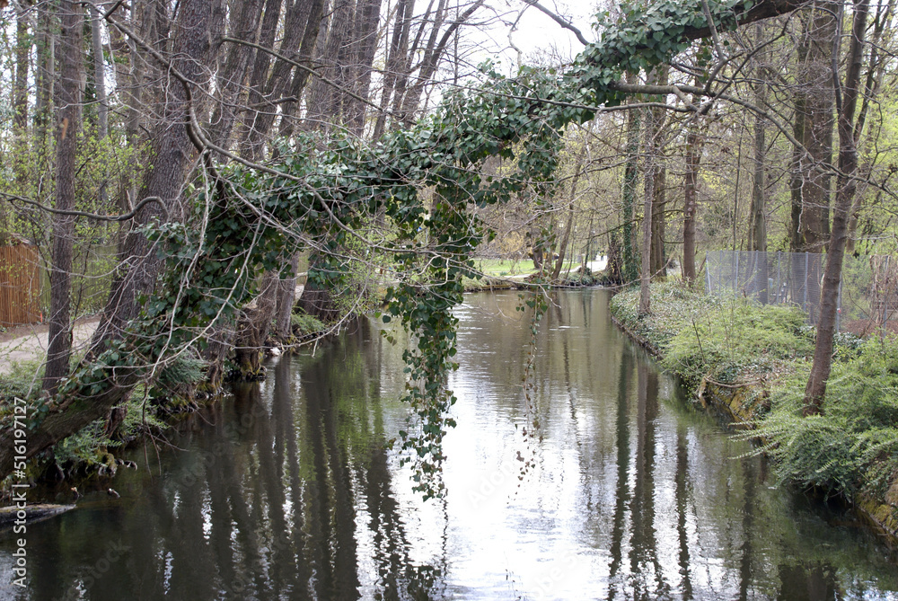 Flusslandschaft in der Stille im Frühjahr mit Efeu romantische Flussbiegung 516197127 Flusslandschaft in der Stille im Frühjahr mit Efeu romantische Flussbiegung 516197127