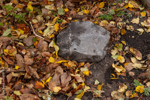 a large granite stone lies among the fallen autumn leaves