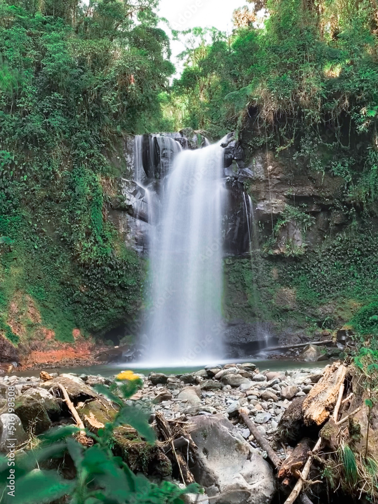 Obraz premium waterfall in the woods
