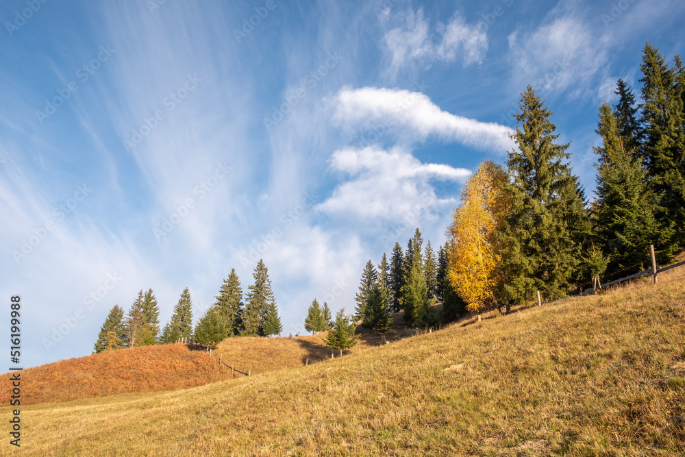 Stunning sunny morning scene. Beautiful view of Carpathian mountain scenery with autumn meadows and trees in beautiful sunny day with blue sky Stunning sunny morning scene. Beautiful view of Carpathian mountain scenery with autumn meadows and trees in beautiful sunny day with blue sky