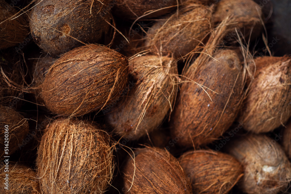 Lots of fresh ripe coconuts, solid background. Gifts of nature from the palm tree Lots of fresh ripe coconuts, solid background. Gifts of nature from the palm tree