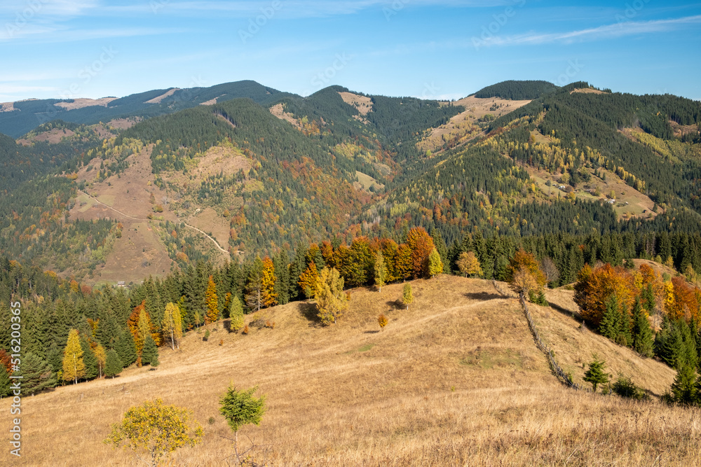 Stunning sunny morning scene. Beautiful view of Carpathian mountain scenery with autumn meadows and trees in beautiful sunny day with blue sky