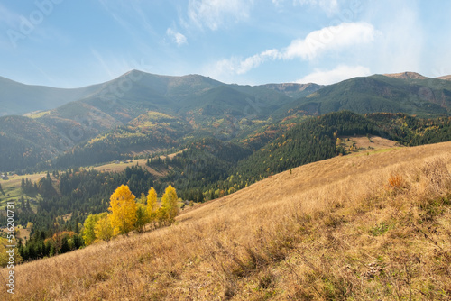 Beautiful view of mountains in Ukraine. Wonderful panoramic landscape with autumn forest on a sunny day.