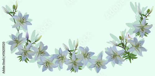 lily bunches half frame on light background © Alexander Potapov