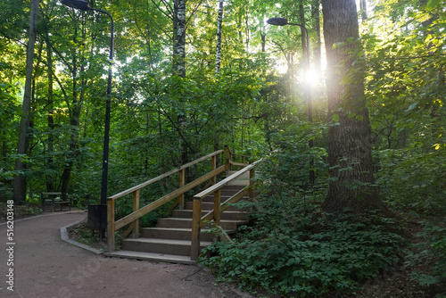 Eco wooden stairs walkway among trees in a park in summer sunny day