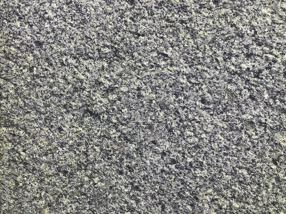 The texture of the background is white gray granite. Abstract wooden background with space for text The texture of the background is white gray granite. Abstract wooden background with space for text