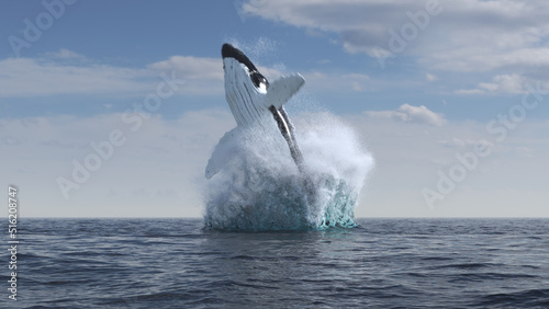 Humpback whale jumps out of the water