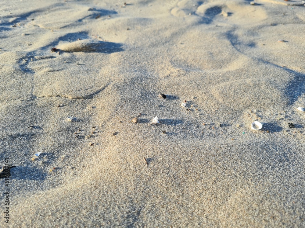 footprints in the sand footprints in the sand