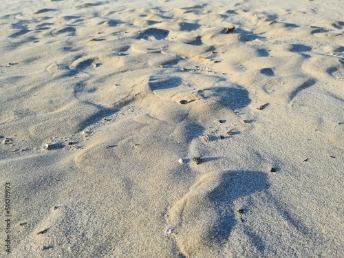 footprints in the snow