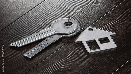 Keys with house shaped keychain. Real Estate Mortgage Property Management Rent Buy concept. 3d Render illustration photo