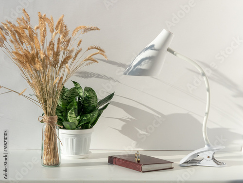 A white lamp on a table in a bright interior, a house plant and a dried flower, a notebook, beautiful shadows on the wall photo