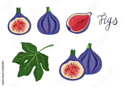 Fig vector cartoon elements and lettering set. Exotic fruit, fig leaf, cut figs, half and quarter. Purple, red, and green colors.