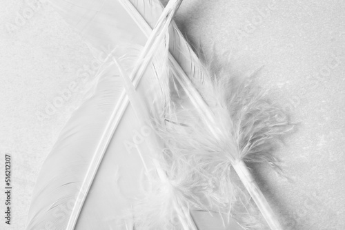 Fototapeta Naklejka Na Ścianę i Meble -  High Key white Feathers on light gray tile background.