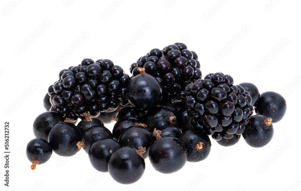 blackcurrant and blackberry berries isolated