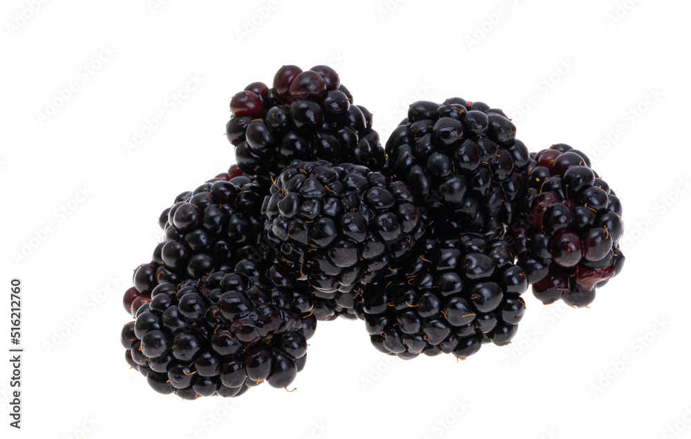 blackberry isolated blackberry isolated