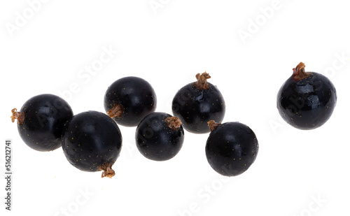 blackcurrant berries isolated