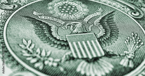1 US dollar. Fragment of banknote. Reverse of bill with the Great Seal. The bald eagle is the national symbol. Gray-green tinted horizontal stories. American treasury and treasuries. Economy of USA