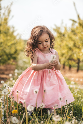 little girl in a pink dress