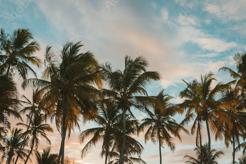 Kokospalmen im Sonnenuntergang mit Wolken