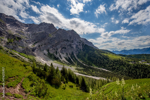 Alps in summer. © Sergei