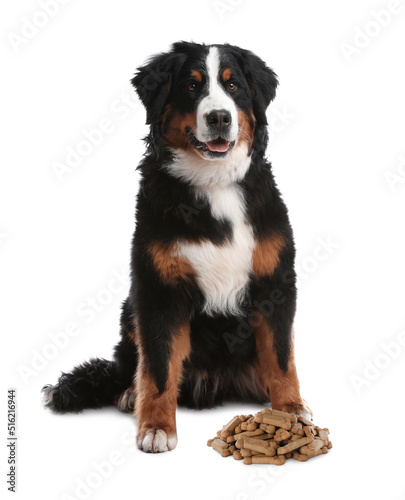 Cute dog and tasty bone shaped cookies on white background