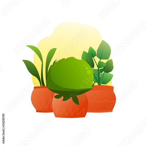 Indoor plants and flowers. Still life. In ceramic pots. Homemade beautiful herbs. Isolated on white background. Cartoon fun style. Vector