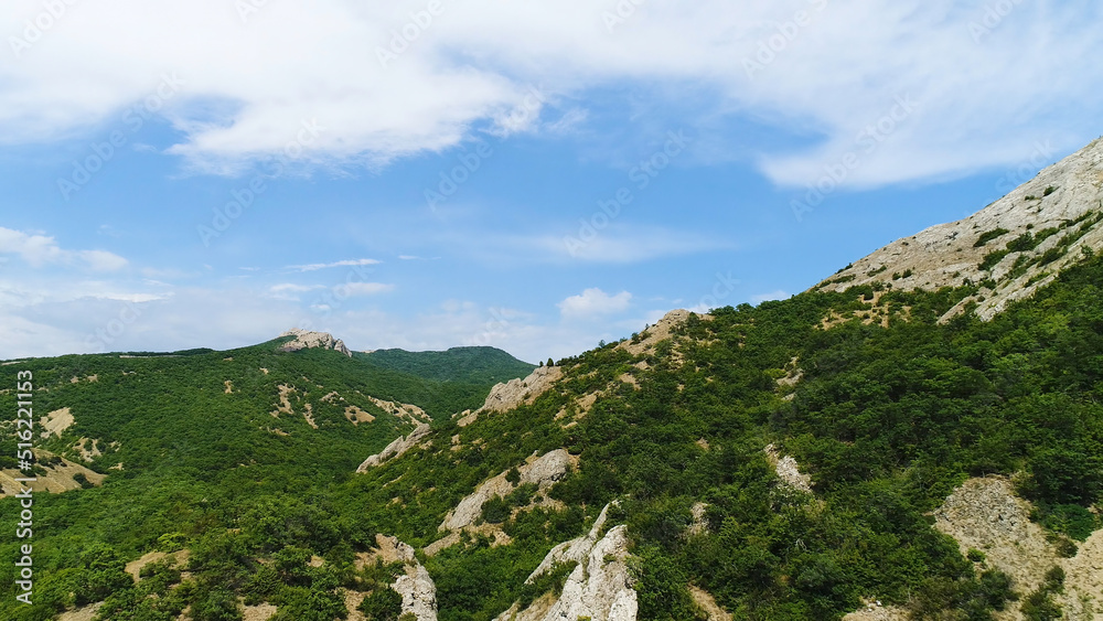 Aerial view of forested mountain slopes, summer landscape. Shot. Breathtaking green vegetation growing on high hills on blue cloudy sky background.