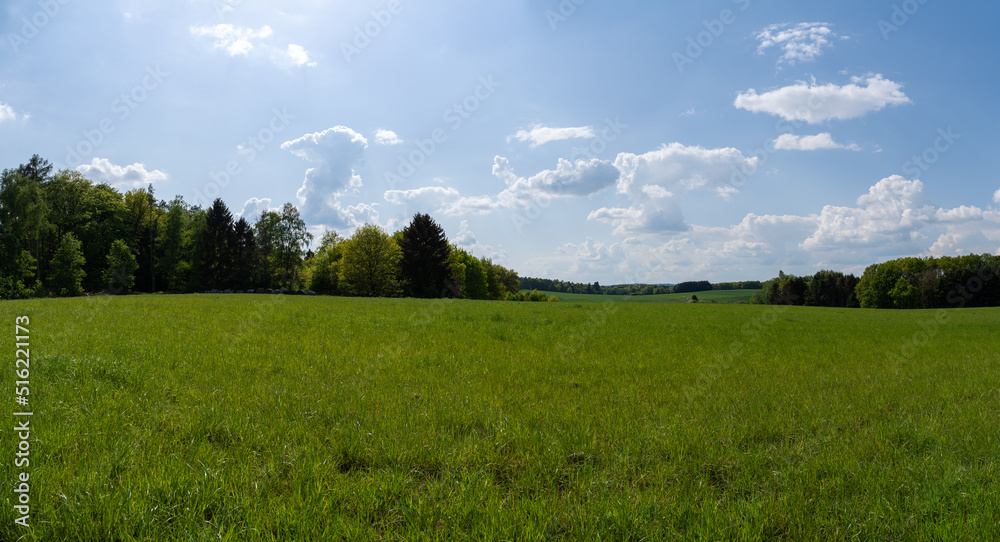 Panorama of a landscape with green meadow, trees and a blue sunny sky in summer Panorama of a landscape with green meadow, trees and a blue sunny sky in summer