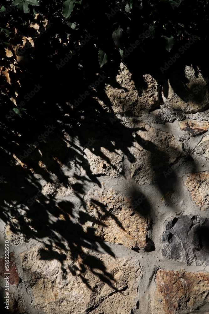 old brick wall textured background with shadows of a tree old brick wall textured background with shadows of a tree