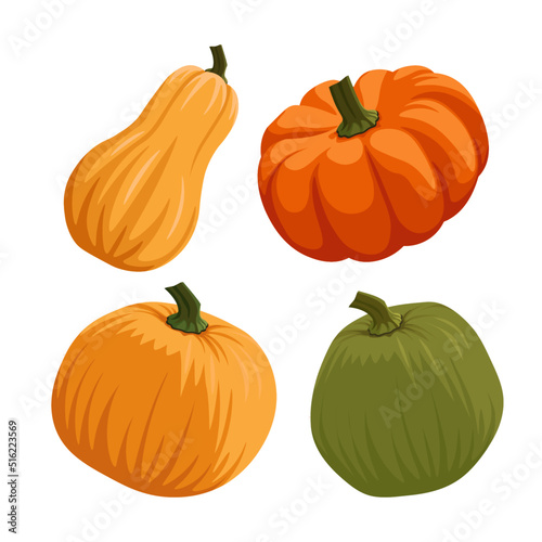 Set of 4 different pumpkins and squash cartoon vector set illustration. Orange, yellow, green. Butternut. Thanksgiving, Halloween, harvest