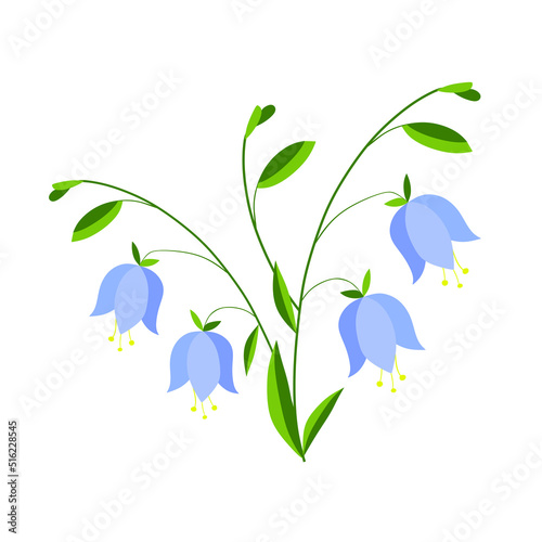 Bell flower vector illustration. Bellflower blue vector flat isolated colorful 
