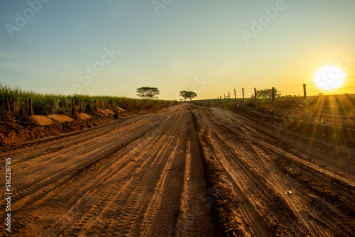 Rural dirt road, which crosses plantations and pastures during sunset, with clear sky and yellow sunbeams, warm colors in high resolution