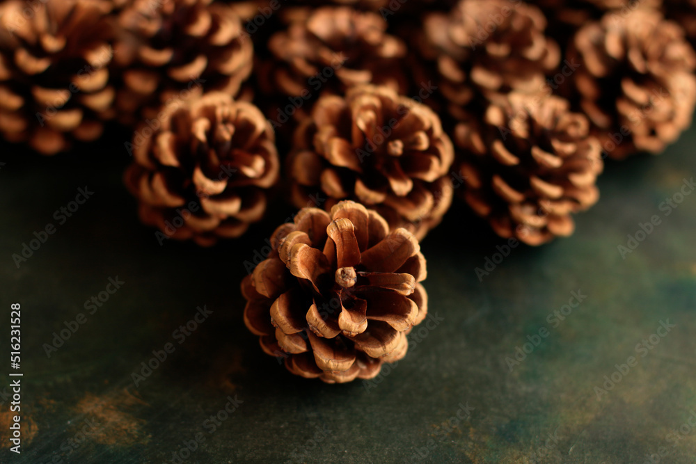 brown, cone, pine, tree, plant, dry, decor, ornamental, gift, decoration, christmas, seed, forest, autumn, macro, wood brown, cone, pine, tree, plant, dry, decor, ornamental, gift, decoration, christmas, seed, forest, autumn, macro, wood
