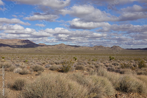 Mojave Desert, CA - Sierra Nevada Mountains © Karen