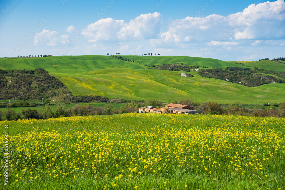 Tuscan countryside landscape. Italy