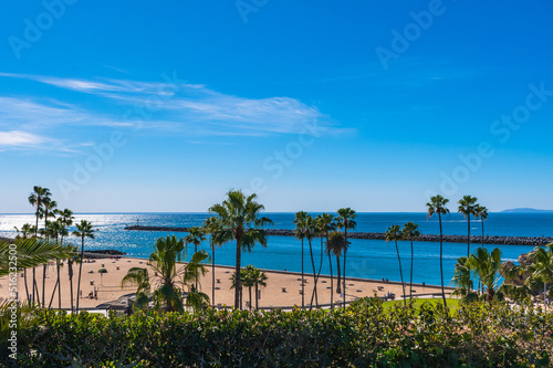 Newport Beach Harbor with jetty and Pacific Ocean, framed by palm trees in Southern California