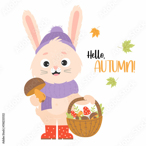 Happy hare mushroom picker. Poster hello autumn. Cute rabbit in rubber boots with mushrooms and wicker basket and autumn leaves. Vector illustration for childrens collection, postcards, designs