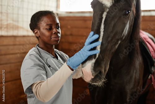 Warm toned portrait of female veterinarian taking care of horse in stables and smiling photo