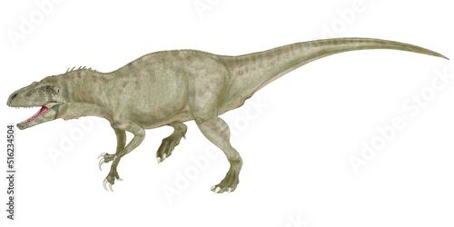 大型肉食恐竜 アエロステオンのオリジナル復元想像図。この恐竜は白亜紀後期のゴンドワナ大陸に生息した。かつてメガラプトルの持つ前肢の鉤爪がドロマエオサウルス類と誤認される後肢の鉤爪と誤認されていたのと同様、その前肢にスピノサウルス科の恐竜のような鉤爪を持っていた。推定体重2トン。9メートル位に及ぶ推定全長の大型にしては軽く、学名は軽量化された骨格の特徴から「空気の骨」という意味をもつ。