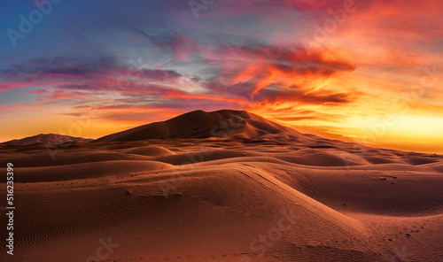 RED ALERT IN THE DESERT © Francisco