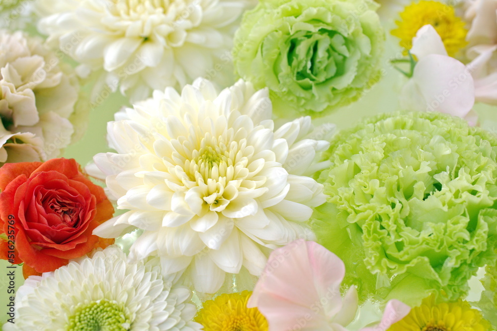 Red roses, white dahlias, green carnations Red roses, white dahlias, green carnations