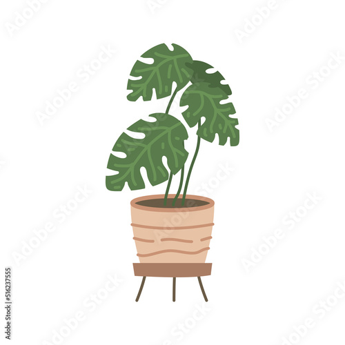 Plant in hanging pot. Houseplant hang on rope, decorative indoor plant, macrame flower pot, home potted plant vector illustration icon. Flower in pot on stand. Home jungle