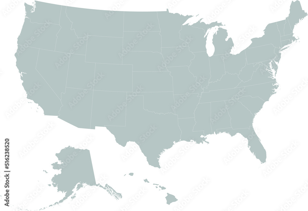 Gray map of United States of America with US federal states