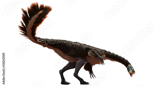 Fototapeta Naklejka Na Ścianę i Meble -  Gallimimus, theropod dinosaur from the Late Cretaceous period, isolated on white background