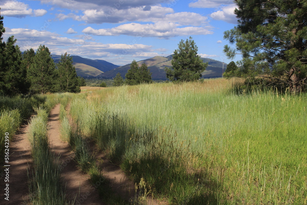 Descending Into the Valley from a High Montana Mountain in Summer Season Descending Into the Valley from a High Montana Mountain in Summer Season