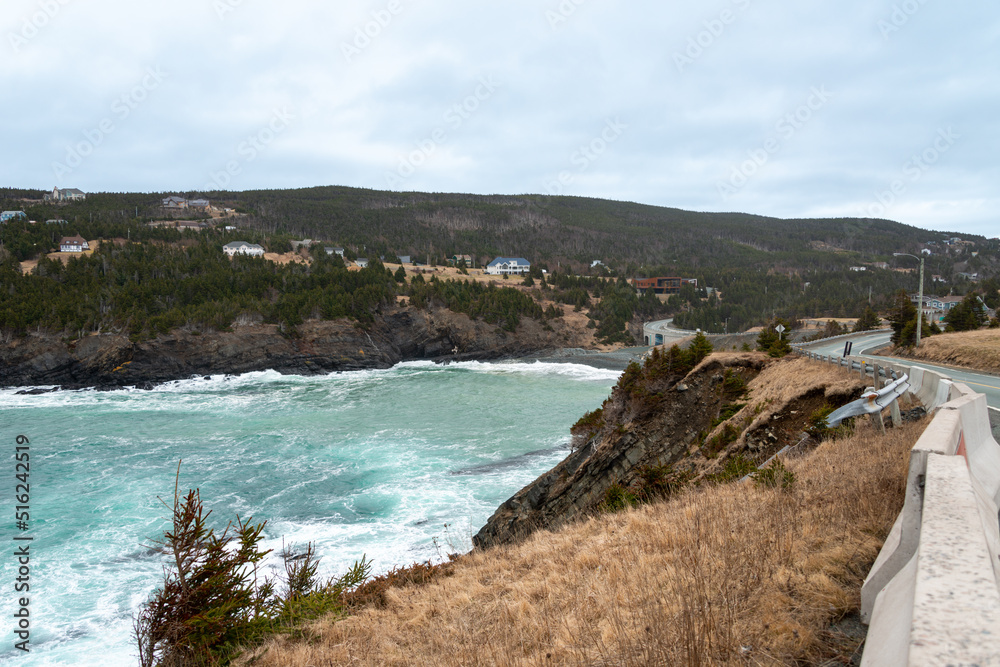 An aerial view of Outer Cove Beach with waves rolling onshore. There are small farmhouses with large grassy meadows, forest, and green grass. There's a gravel road leading to the beach and cove.