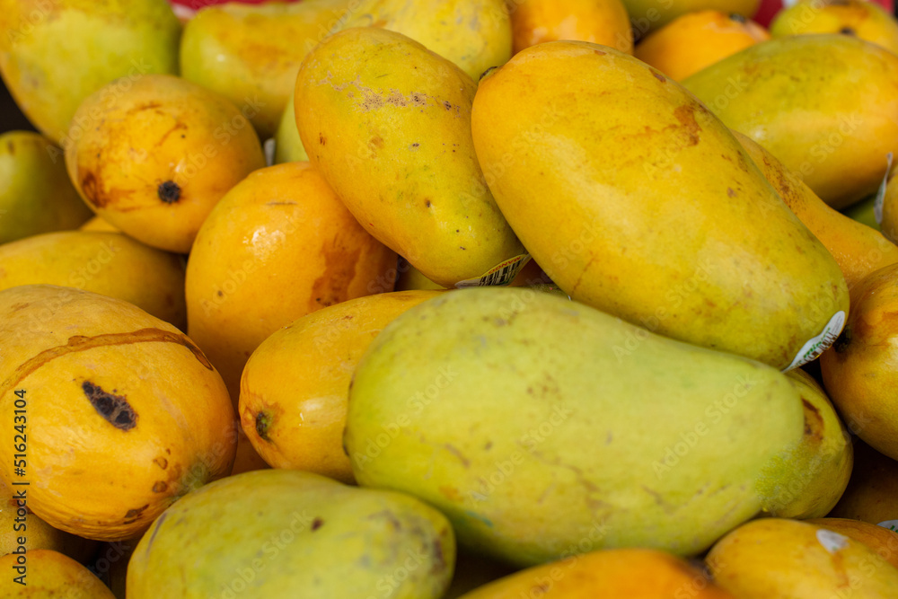 A large bunch of yellow, green and orange colored tropical mangos at a farmer's market for sale. The outer flesh is soft and bright in color. The aromatic fruit is sweet, with citrus and lemon flavor. A large bunch of yellow, green and orange colored tropical mangos at a farmer's market for sale. The outer flesh is soft and bright in color. The aromatic fruit is sweet, with citrus and lemon flavor.