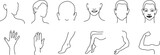 Vector image set of female body parts line icons. on white background..eps